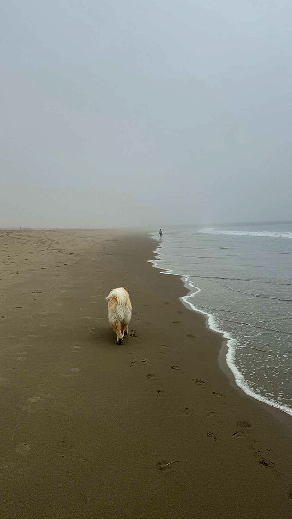 chloerosenbaum image ~ Altpins