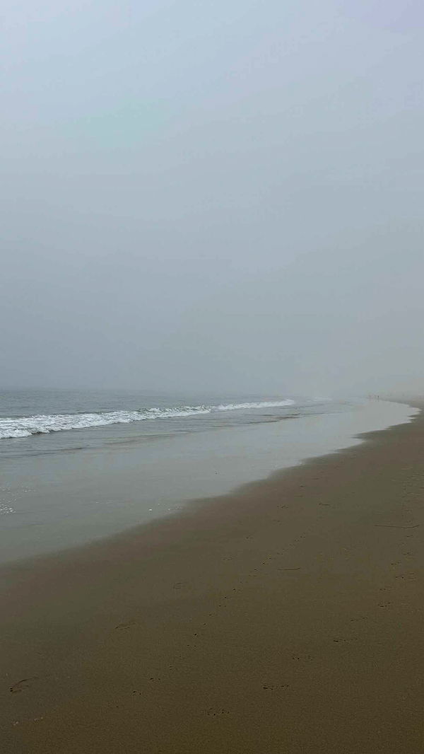 chloerosenbaum image ~ Altpins