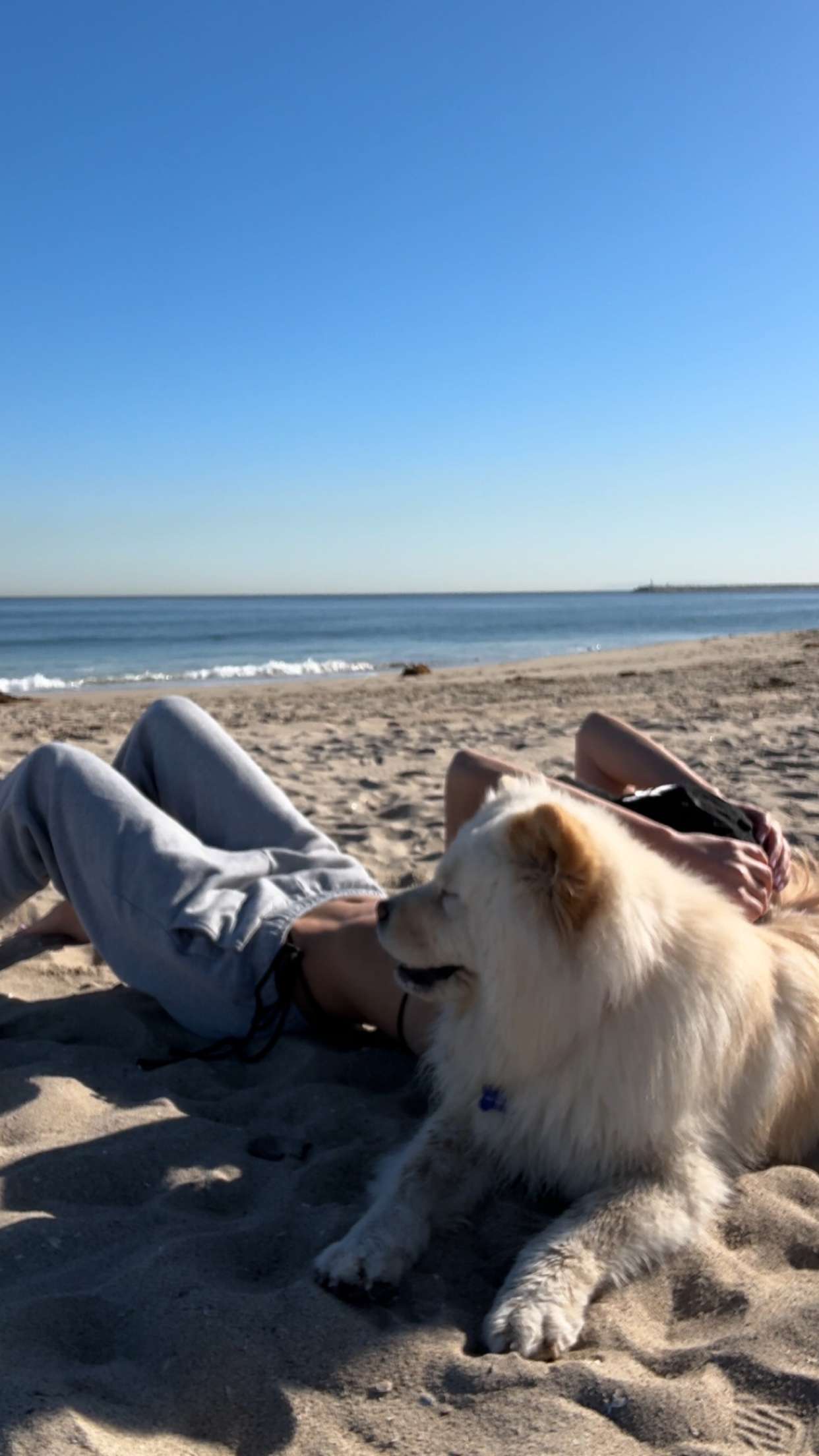 chloerosenbaum snapchat image archive image