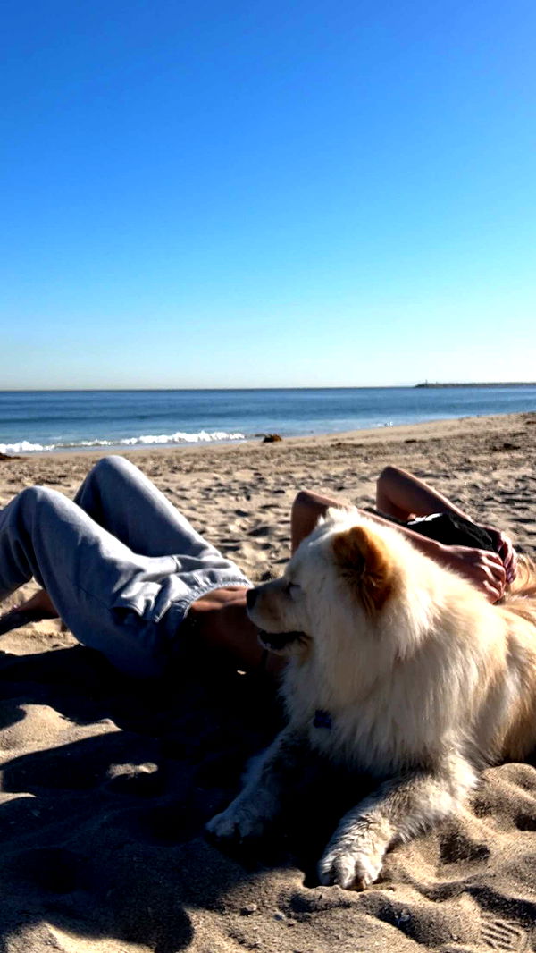 chloerosenbaum image ~ Altpins