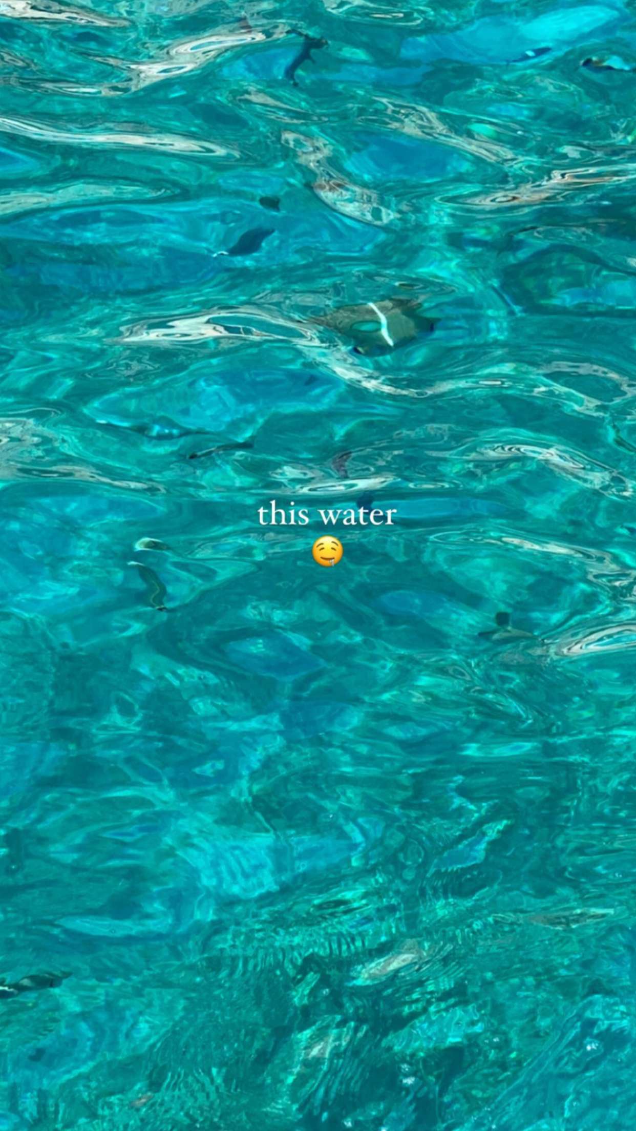 chloerosenbaum snapchat image archive image