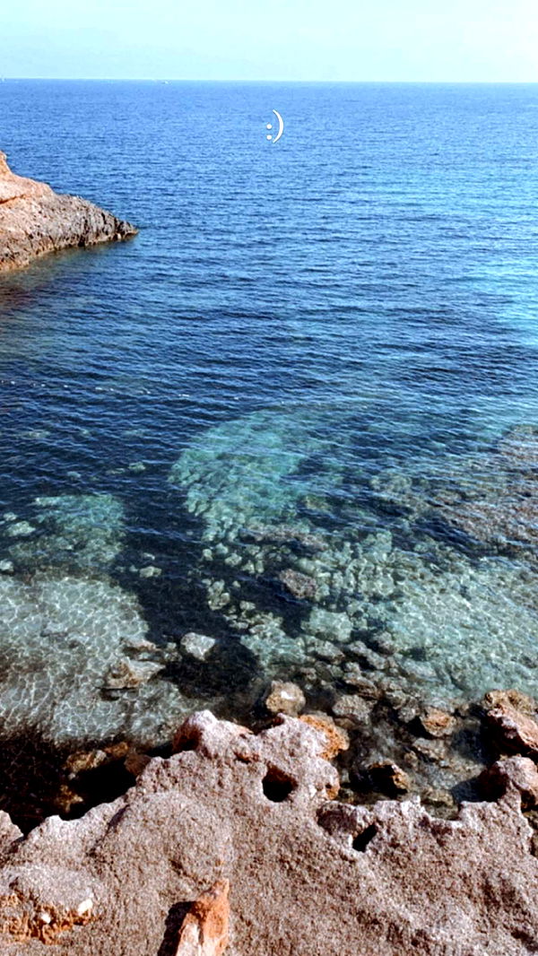 chloerosenbaum image ~ Altpins