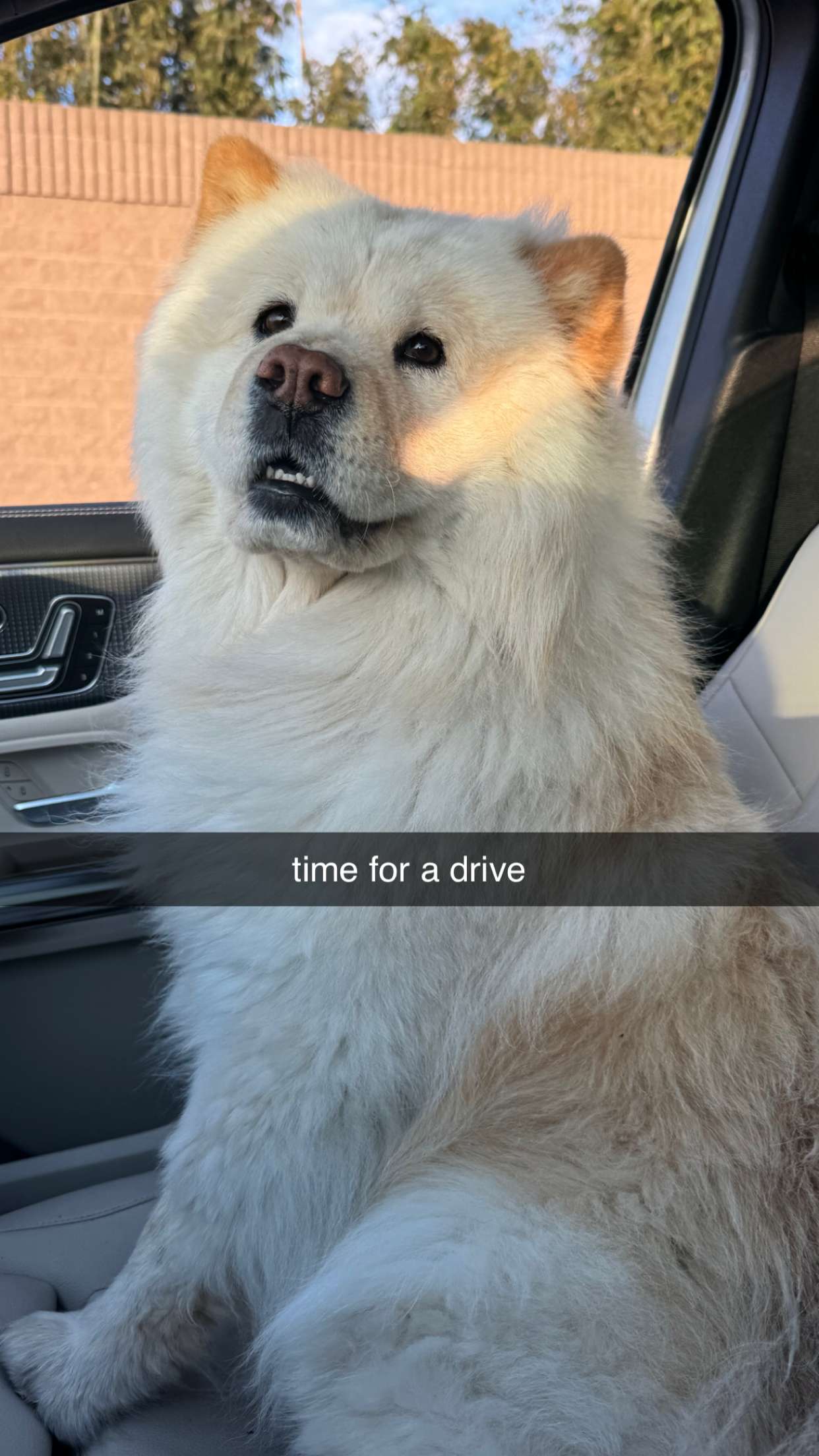 chloerosenbaum snapchat image archive image