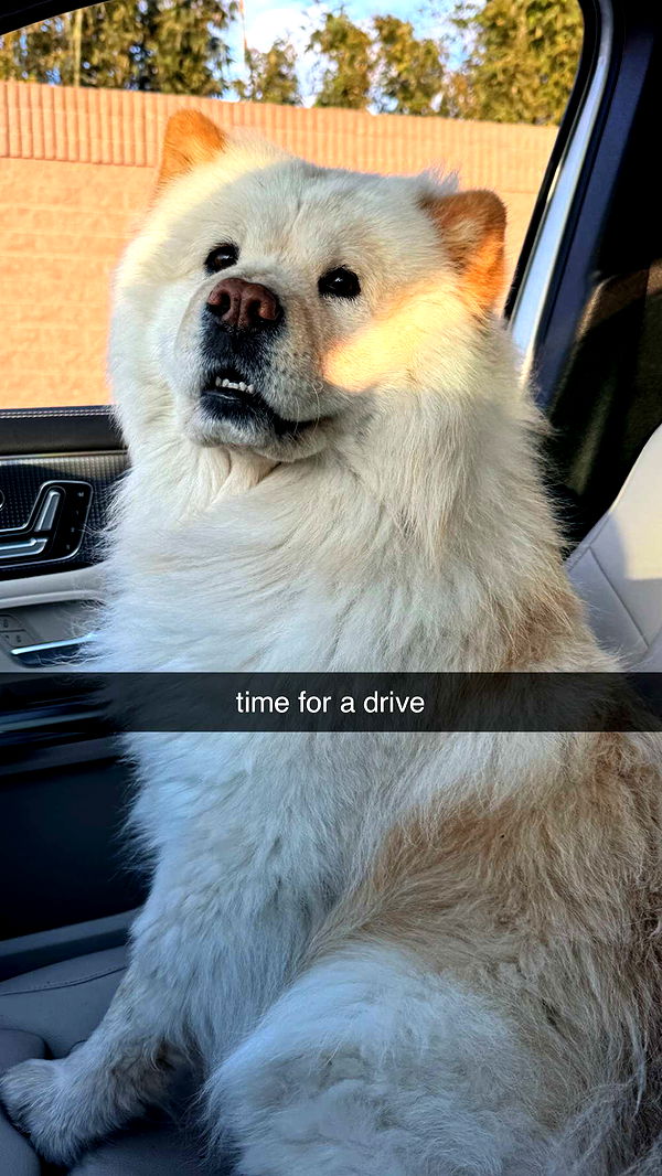 chloerosenbaum image ~ Altpins