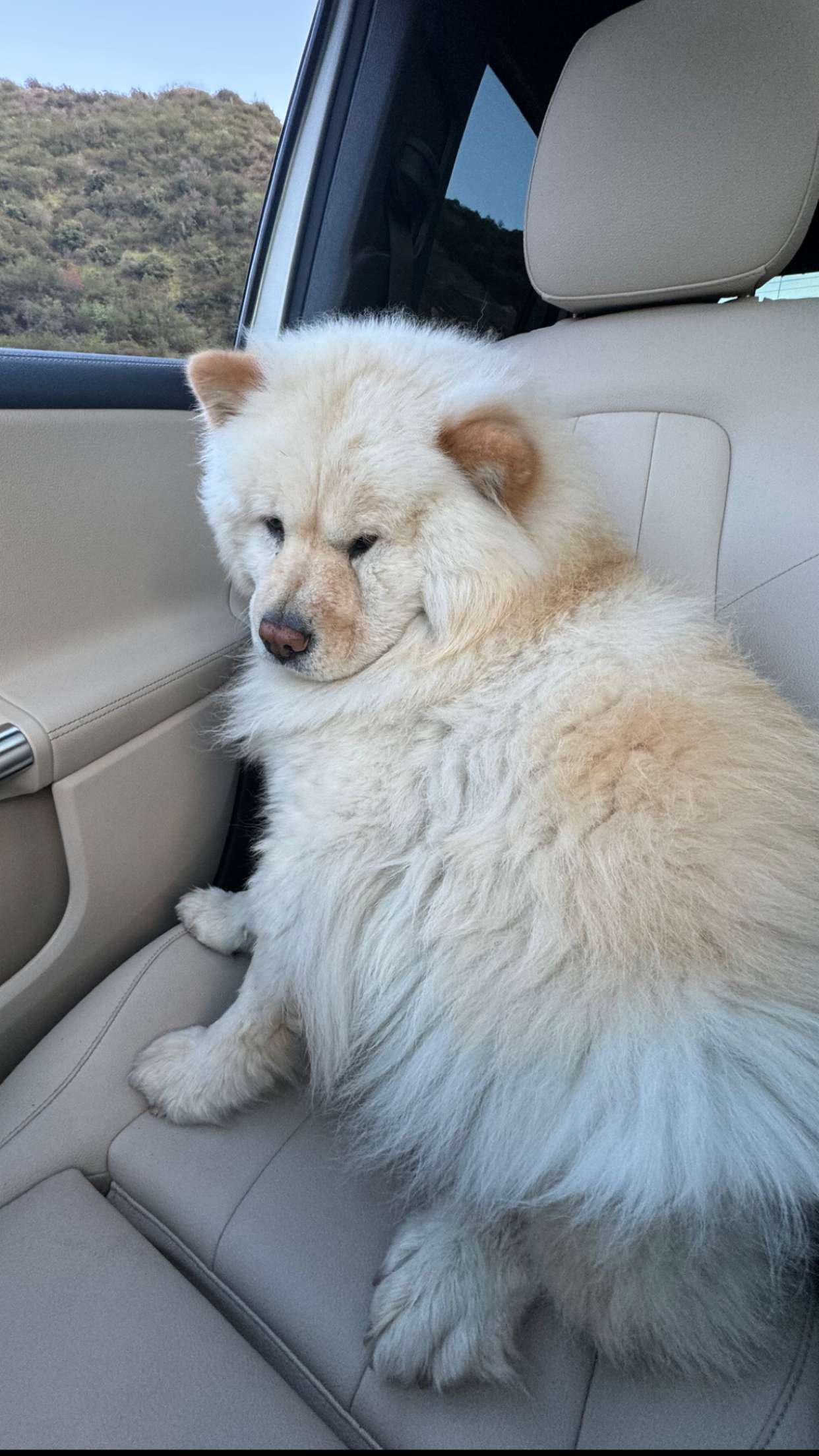 chloerosenbaum snapchat image archive image