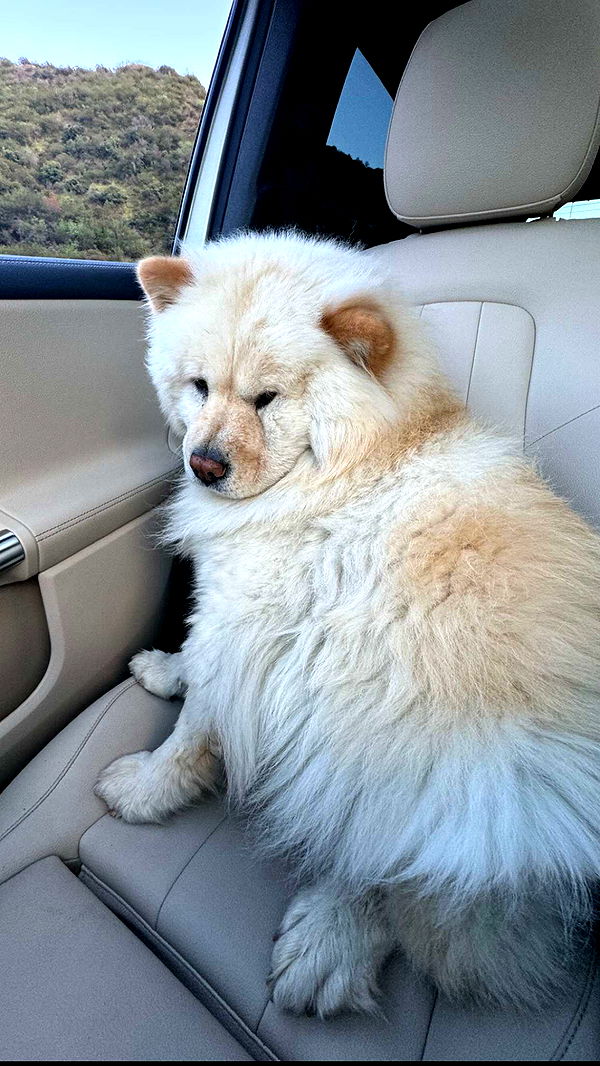 chloerosenbaum image ~ Altpins