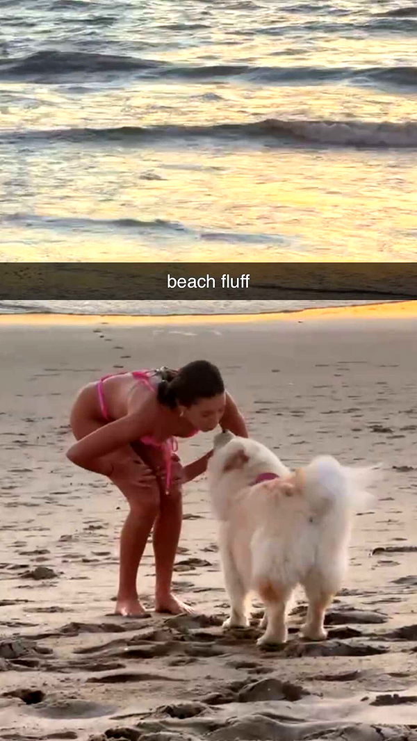 chloerosenbaum image ~ Altpins