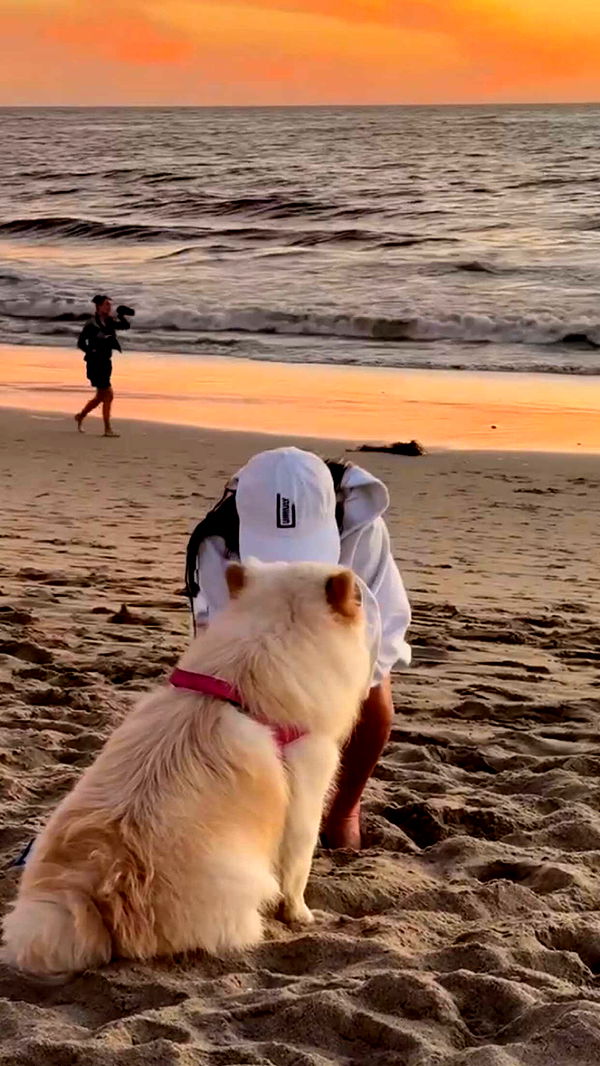 chloerosenbaum image ~ Altpins