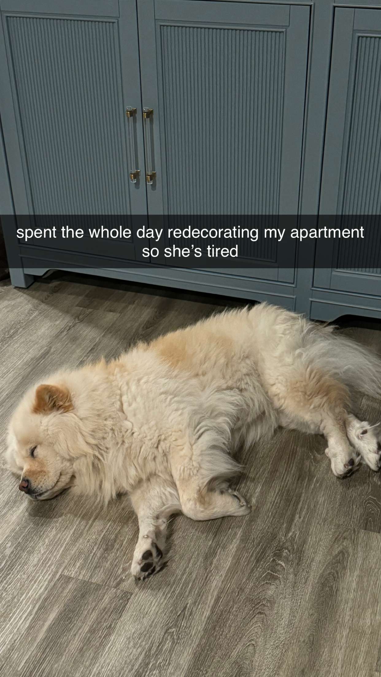 chloerosenbaum snapchat image archive image