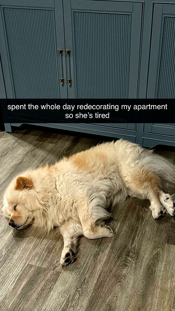 chloerosenbaum image ~ Altpins