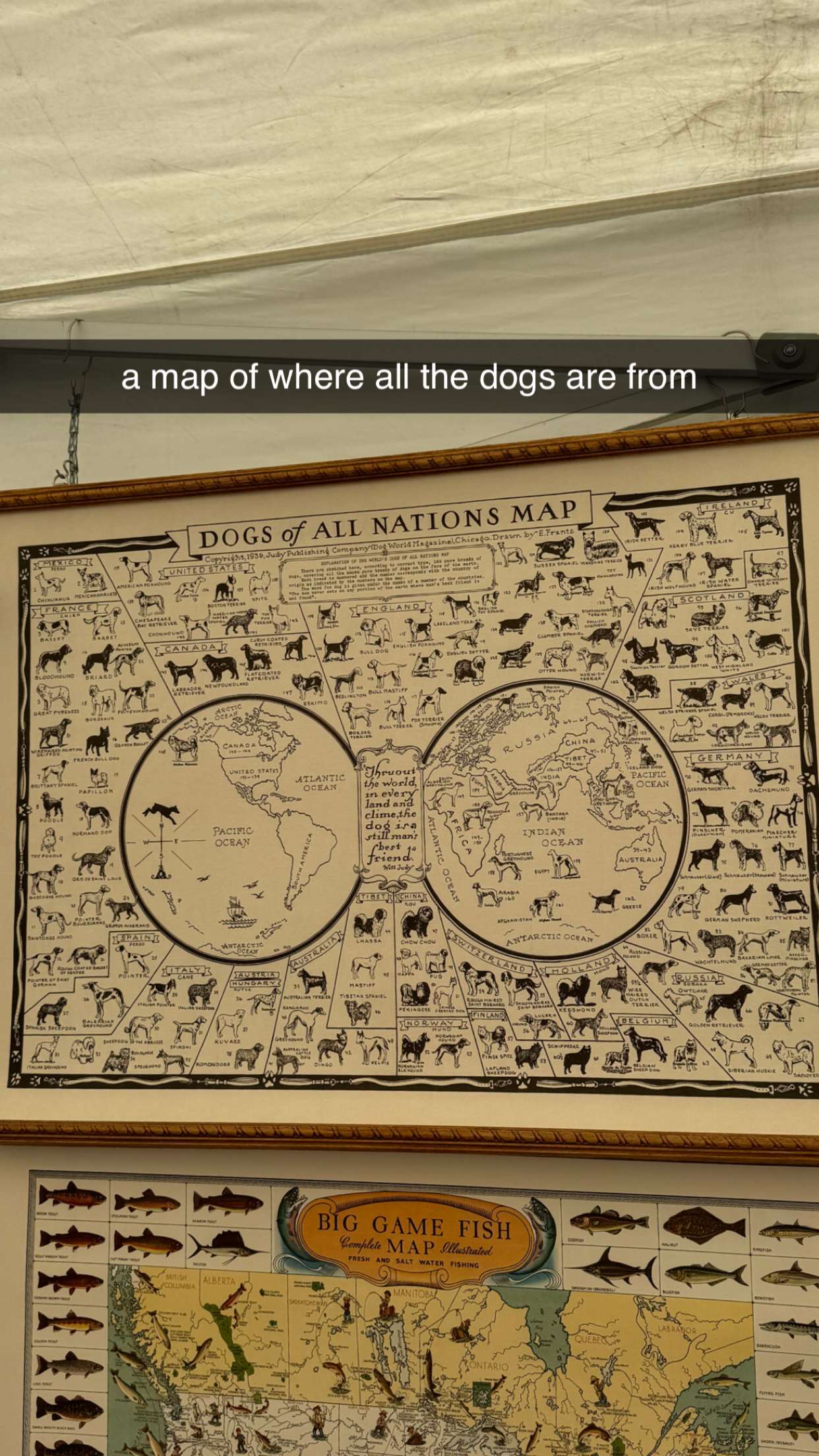 chloerosenbaum snapchat image archive image