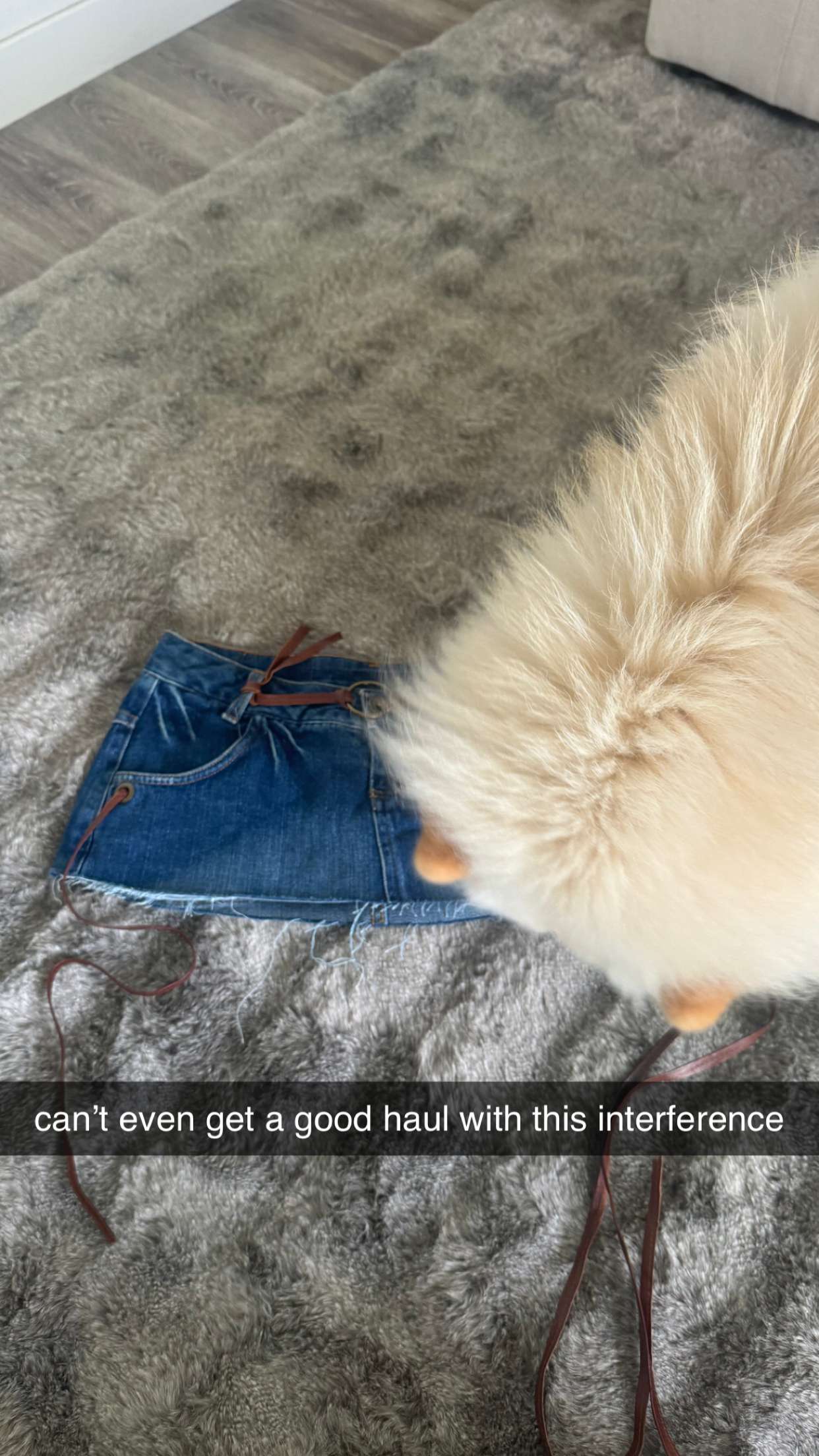 chloerosenbaum snapchat image archive image