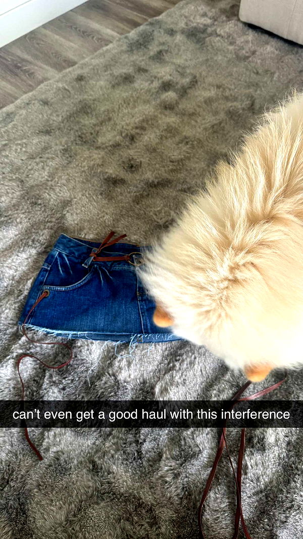 chloerosenbaum image ~ Altpins