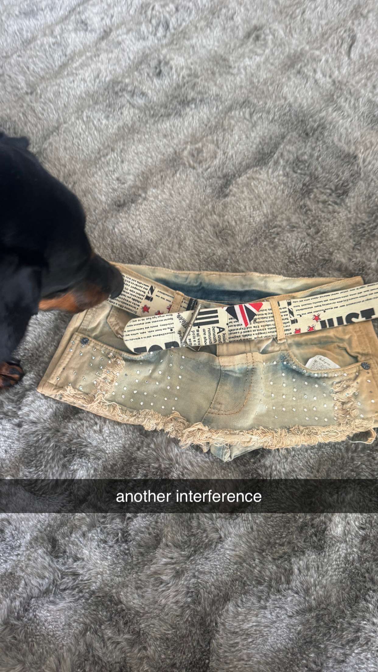 chloerosenbaum snapchat image archive image