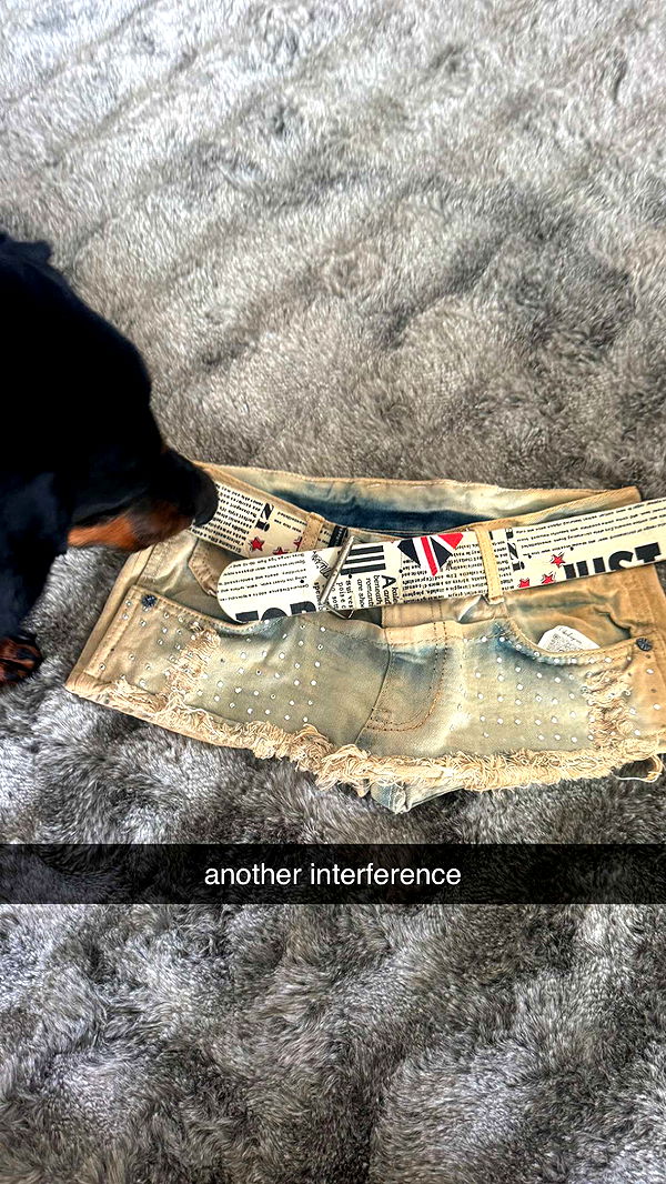 chloerosenbaum image ~ Altpins