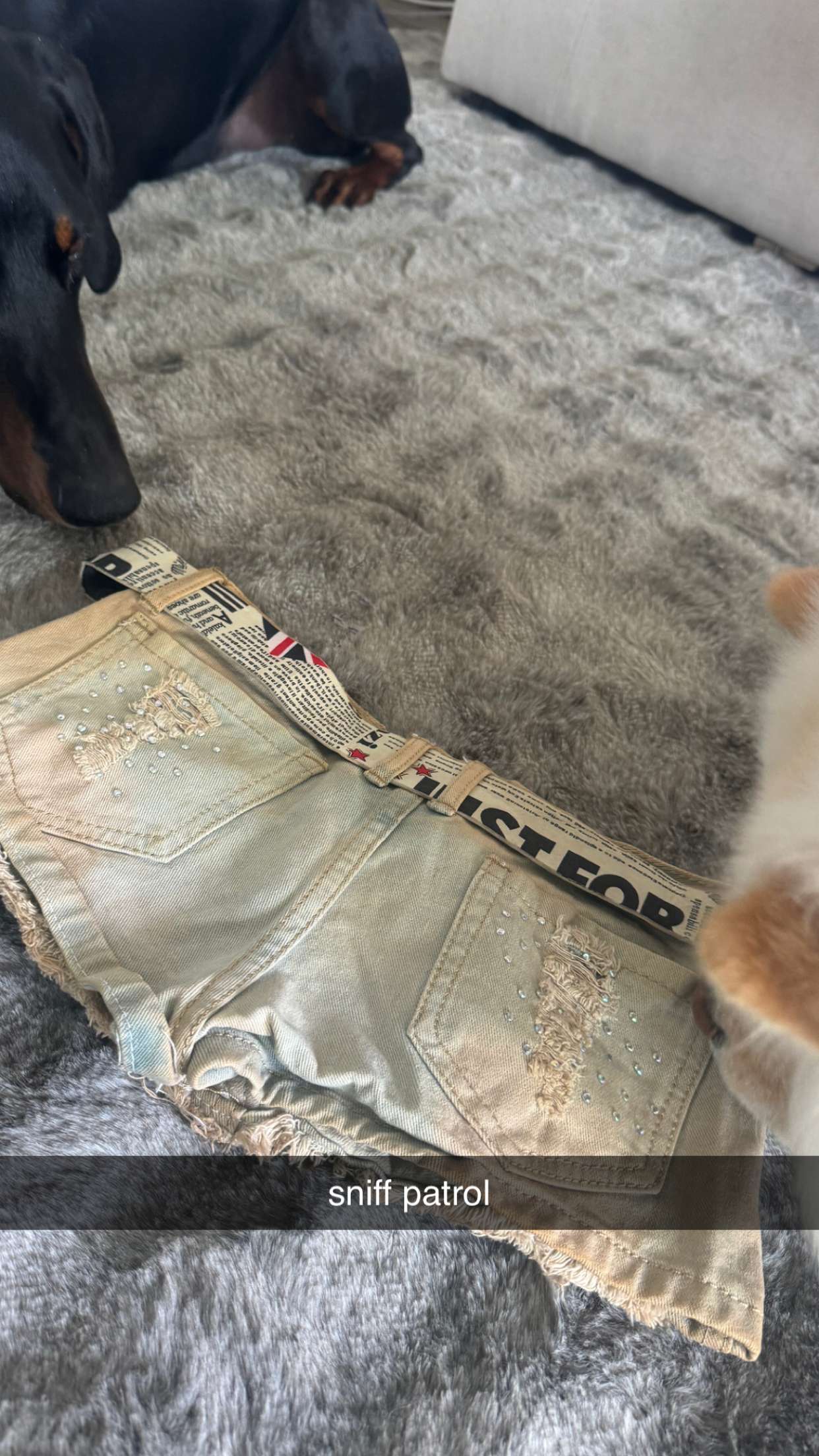 chloerosenbaum snapchat image archive image