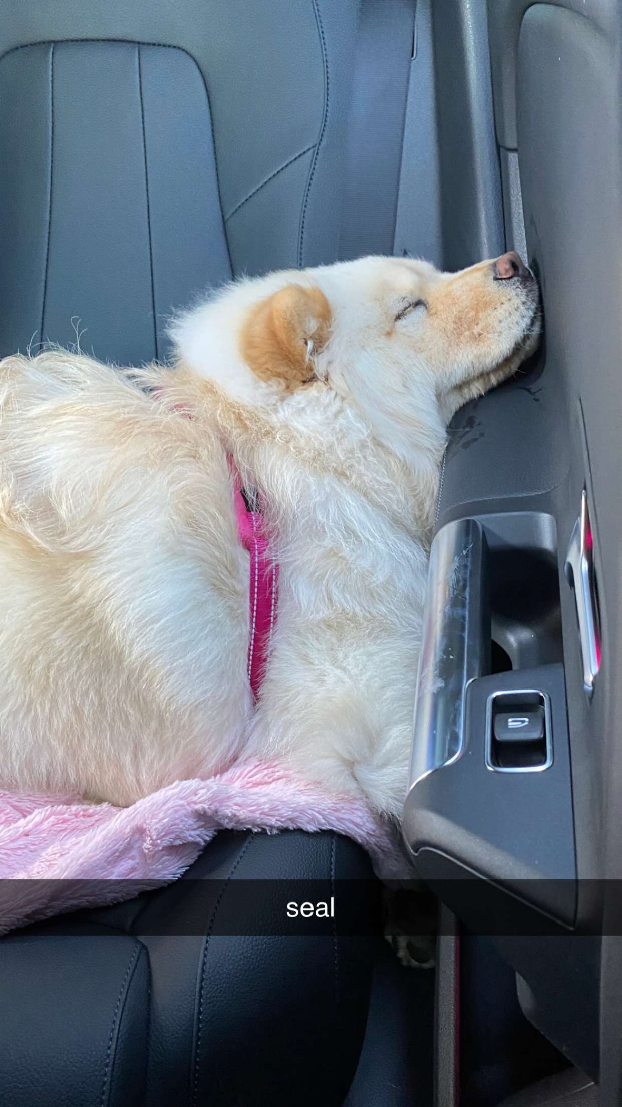 chloerosenbaum snapchat image archive image