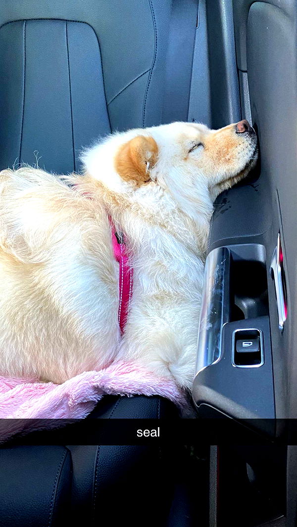 chloerosenbaum image ~ Altpins