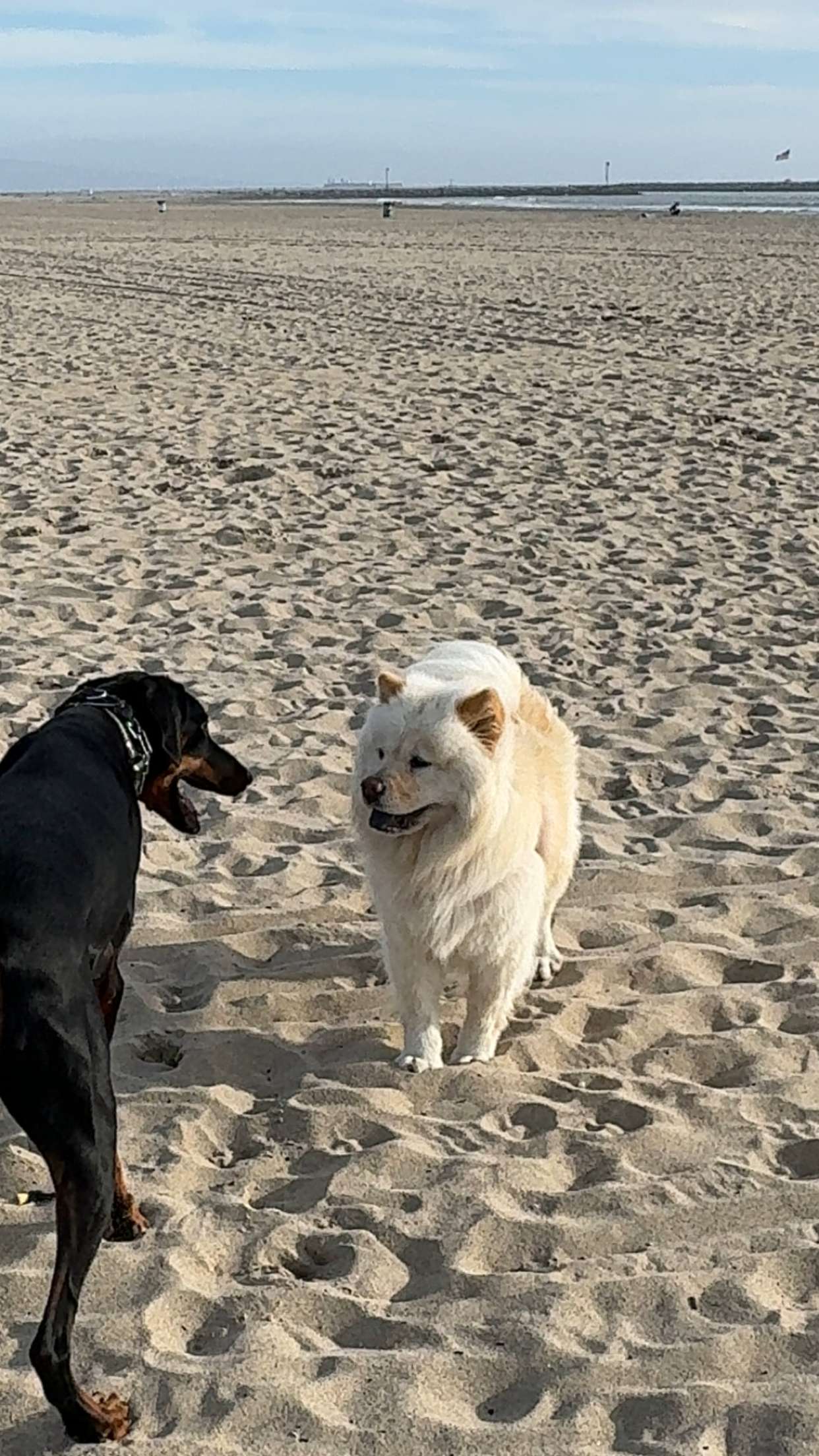 chloerosenbaum snapchat image archive image