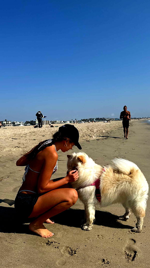 chloerosenbaum image ~ Altpins