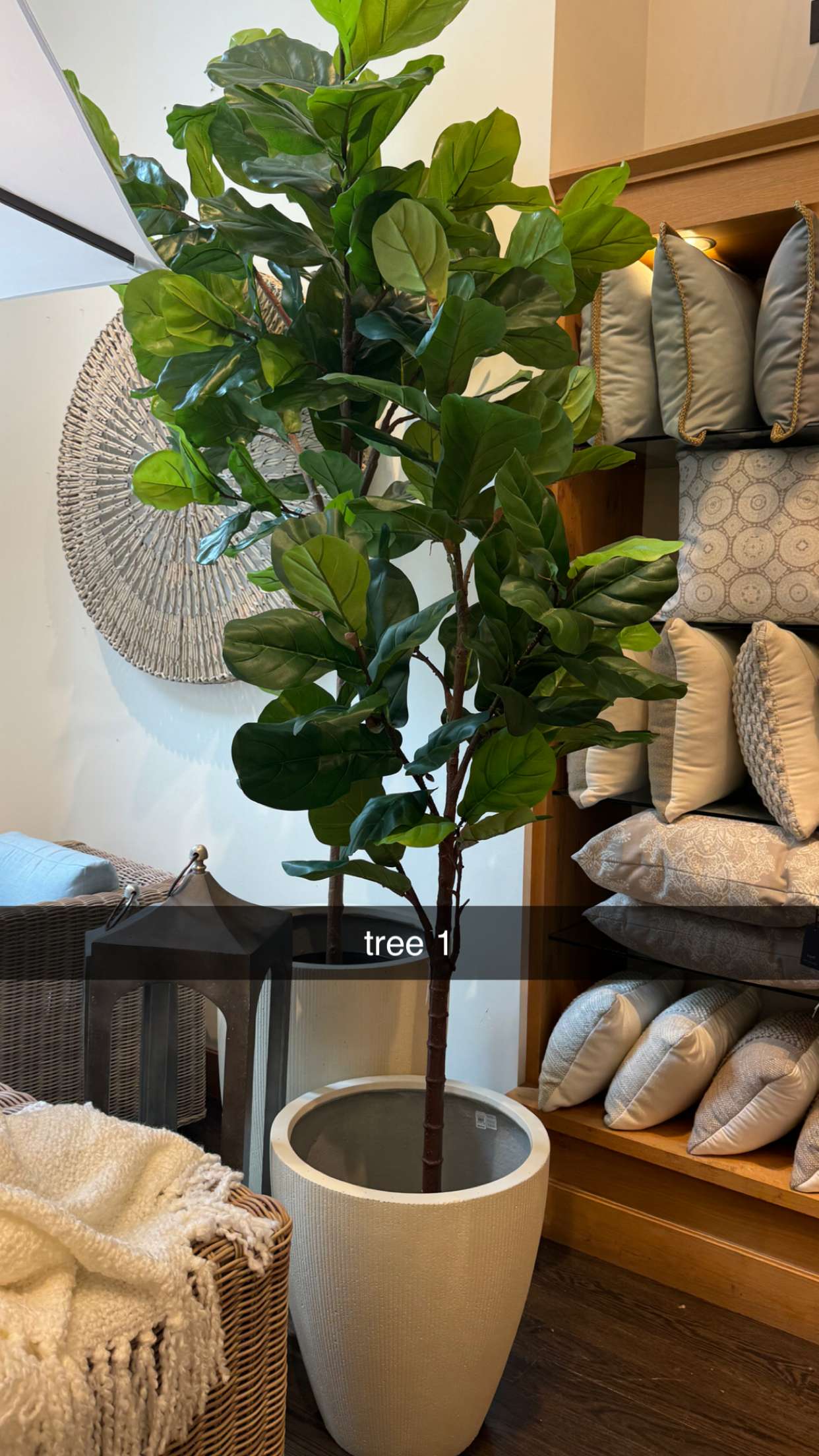 chloerosenbaum snapchat image archive image