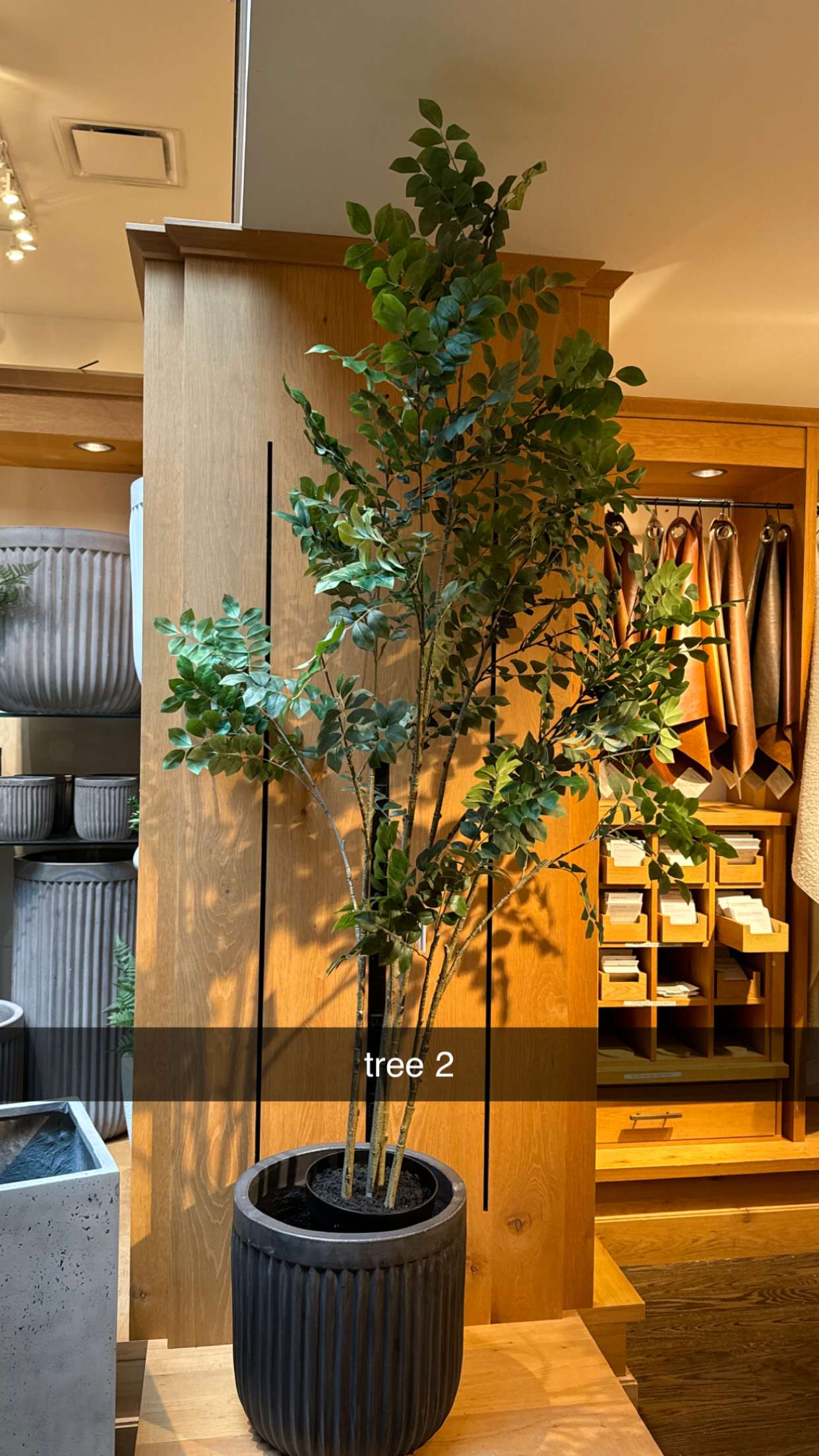 chloerosenbaum snapchat image archive image