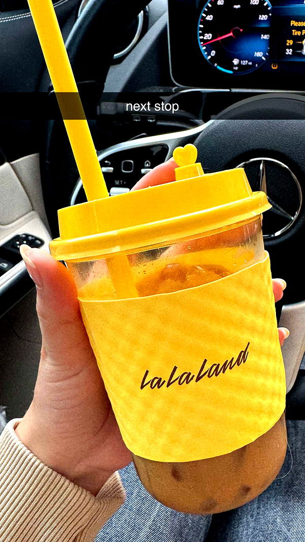 chloerosenbaum image ~ Altpins