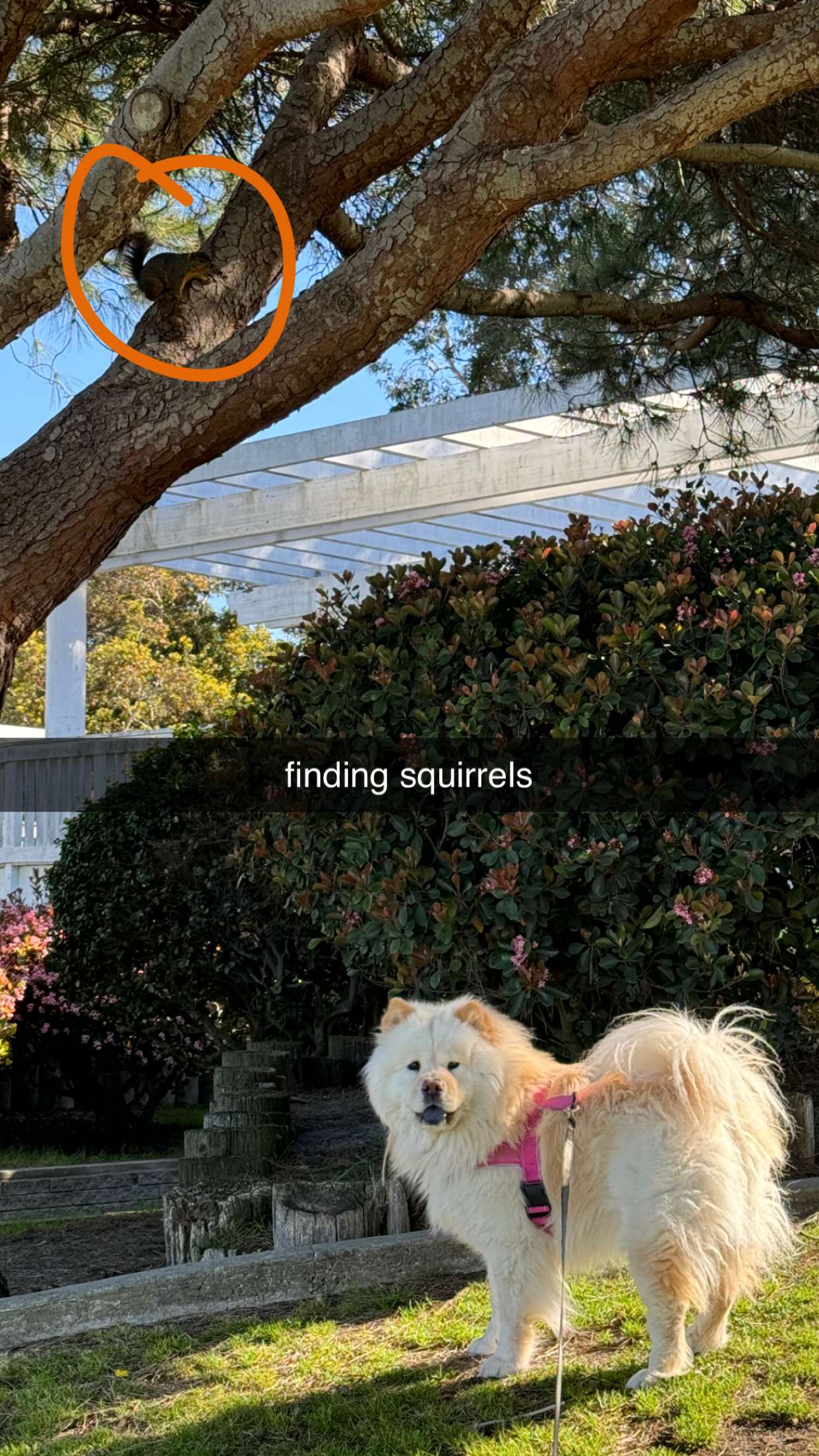 chloerosenbaum snapchat image archive image