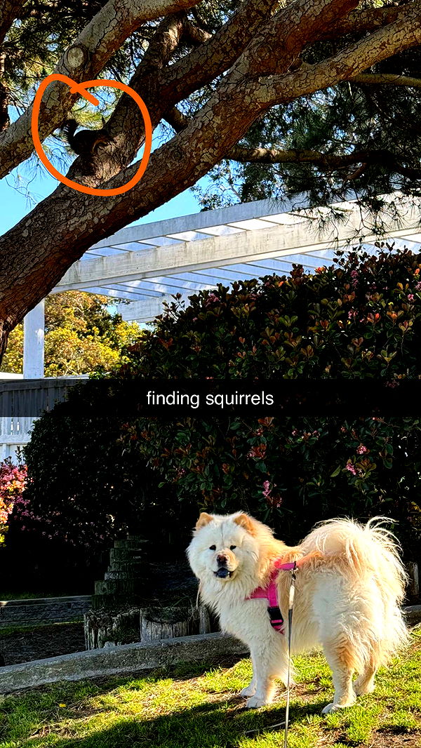 chloerosenbaum image ~ Altpins