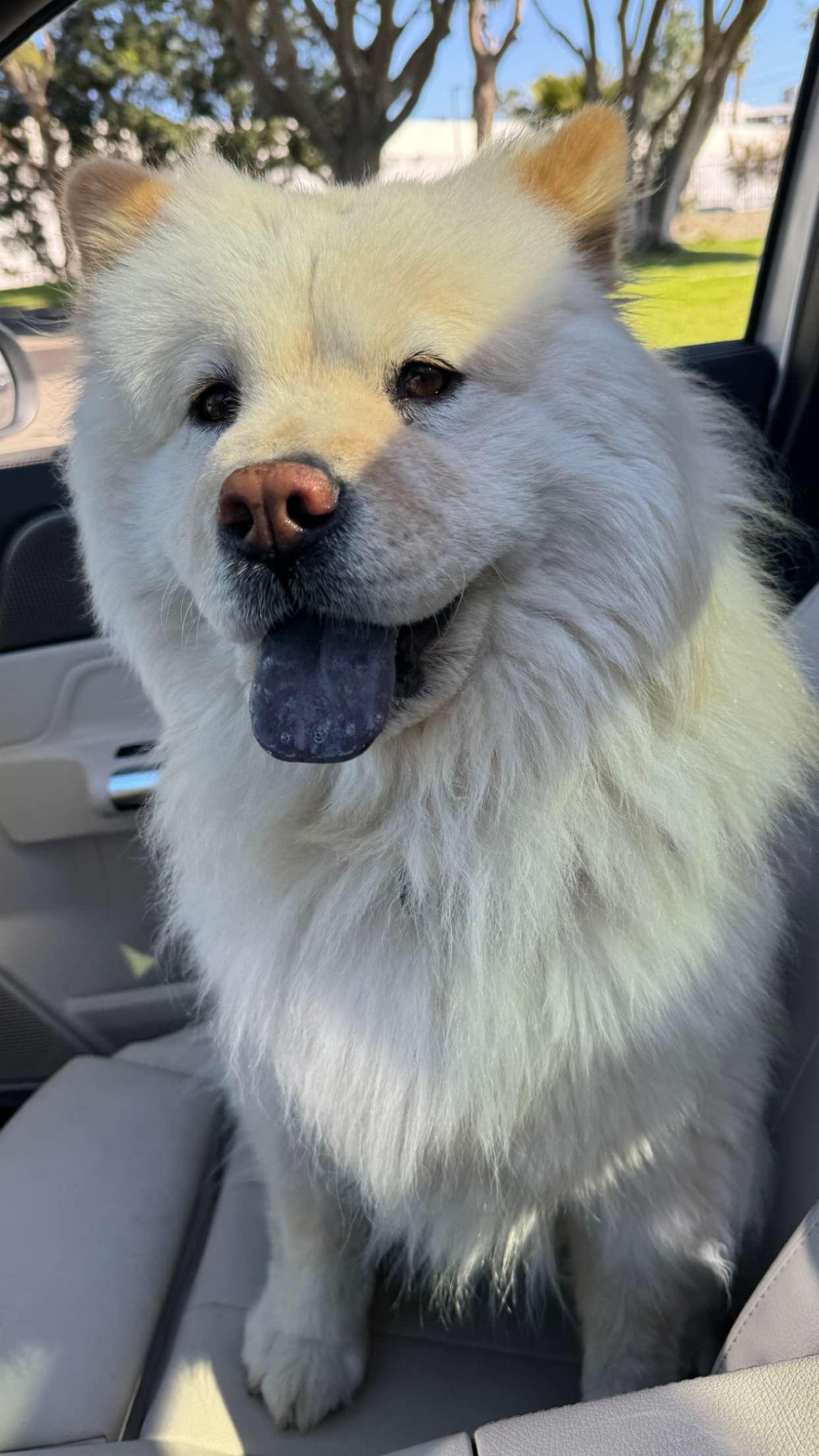 chloerosenbaum snapchat image archive image