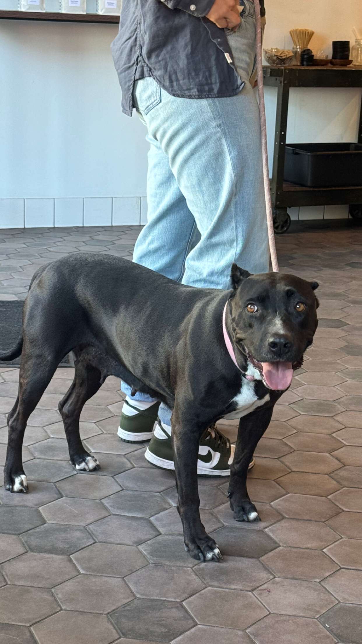 chloerosenbaum snapchat image archive image