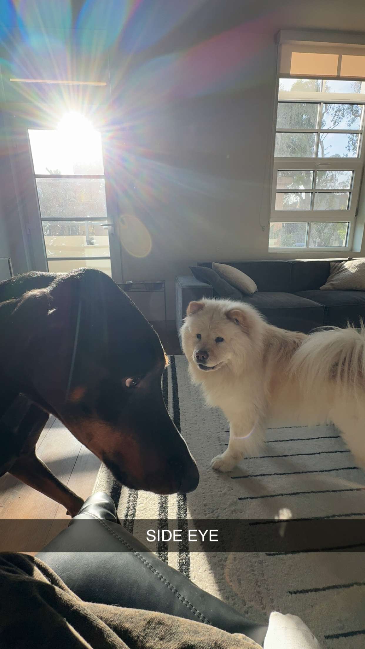 chloerosenbaum snapchat image archive image