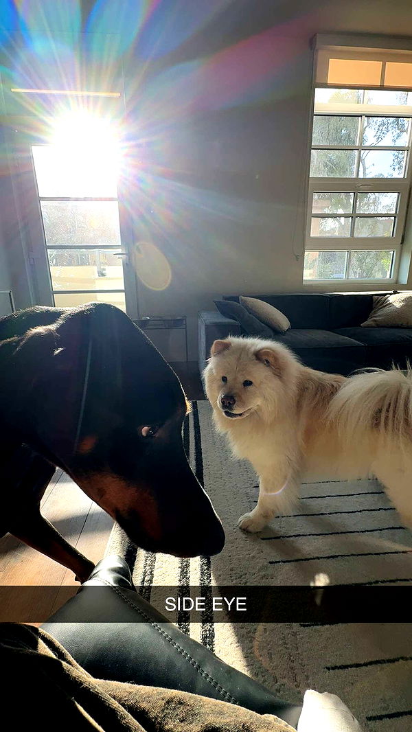 chloerosenbaum image ~ Altpins