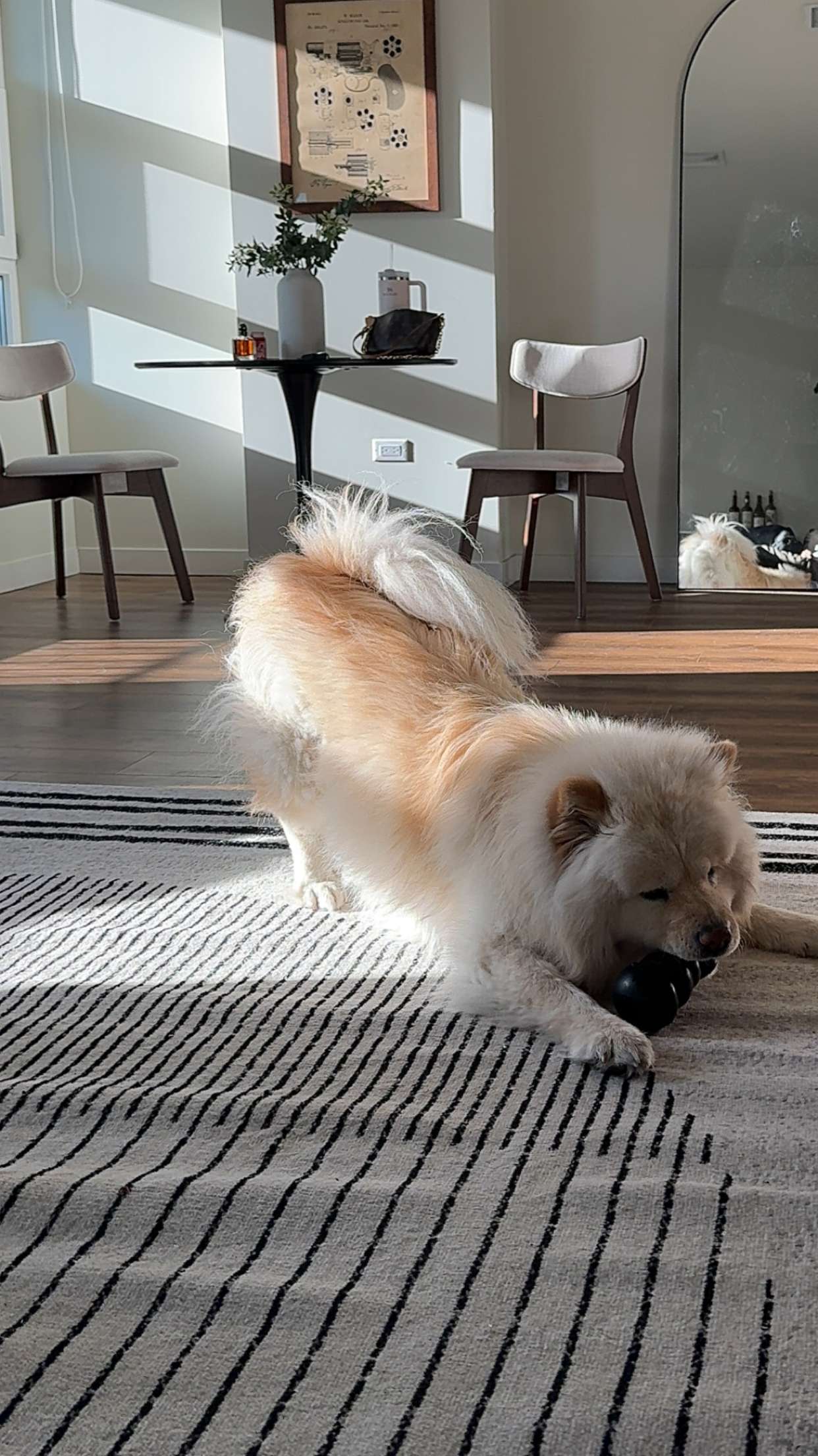 chloerosenbaum snapchat image archive image