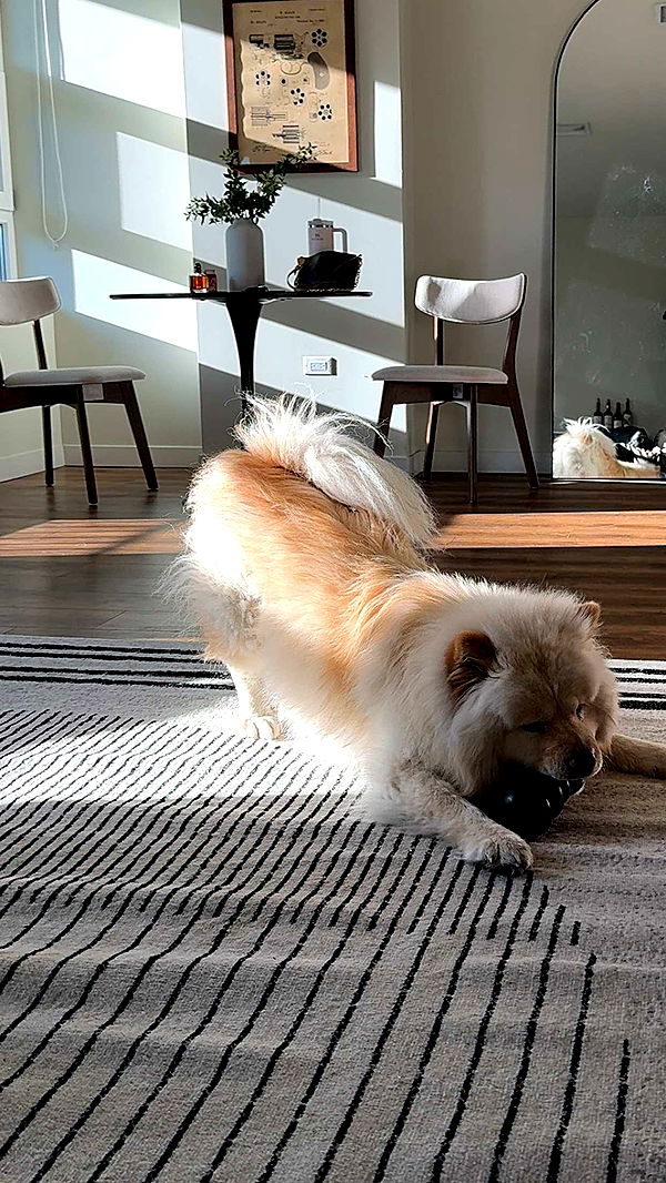 chloerosenbaum image ~ Altpins