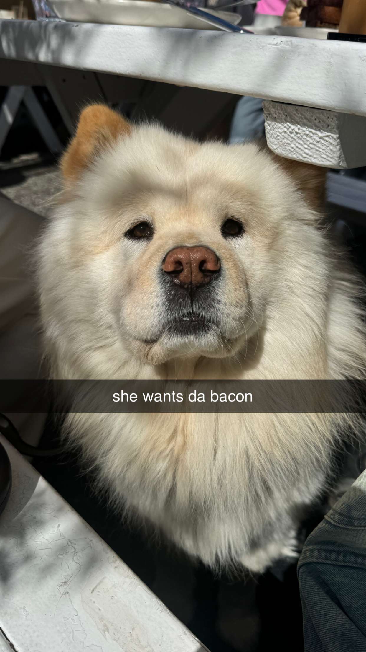 chloerosenbaum snapchat image archive image