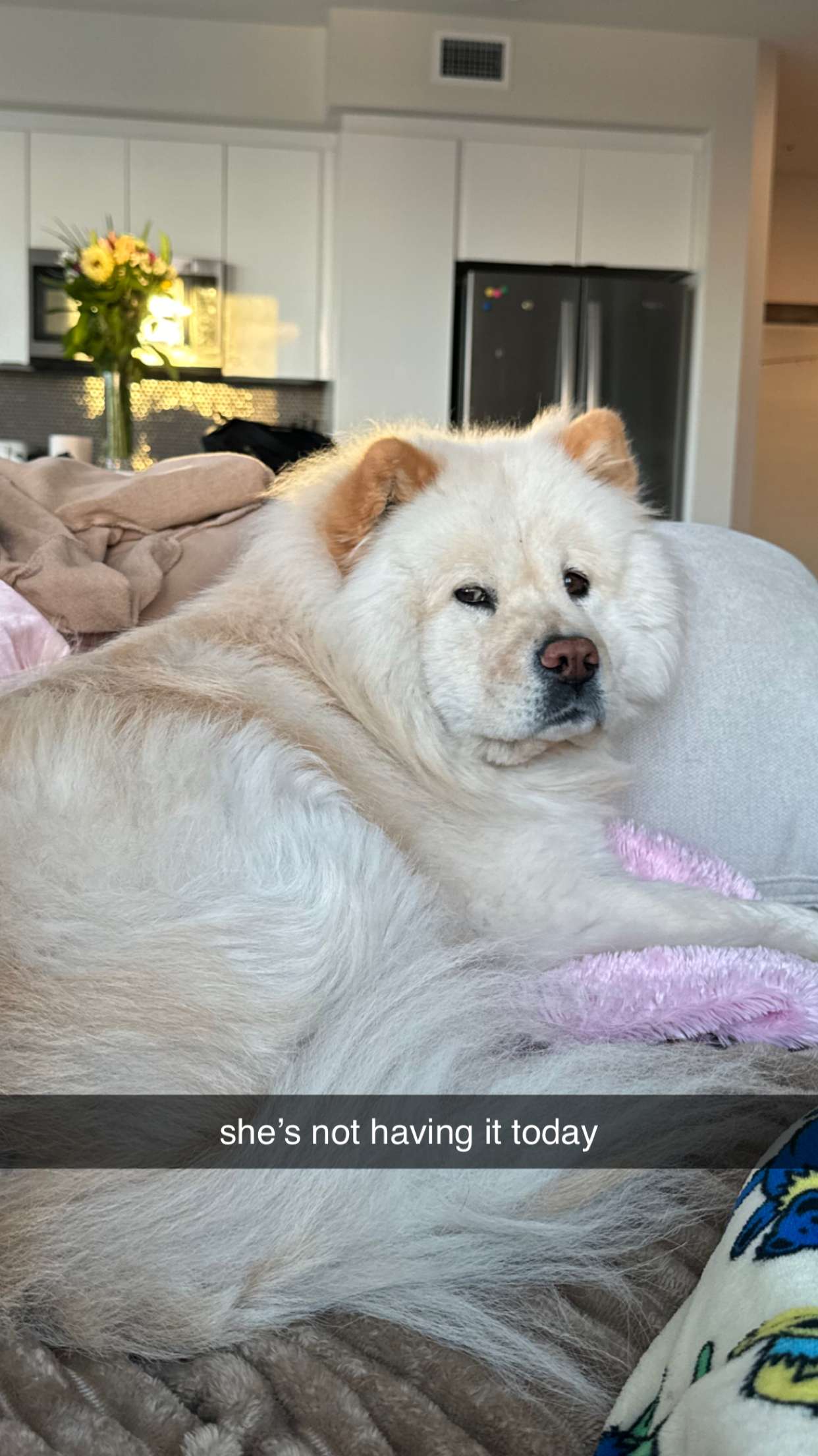 chloerosenbaum snapchat image archive image