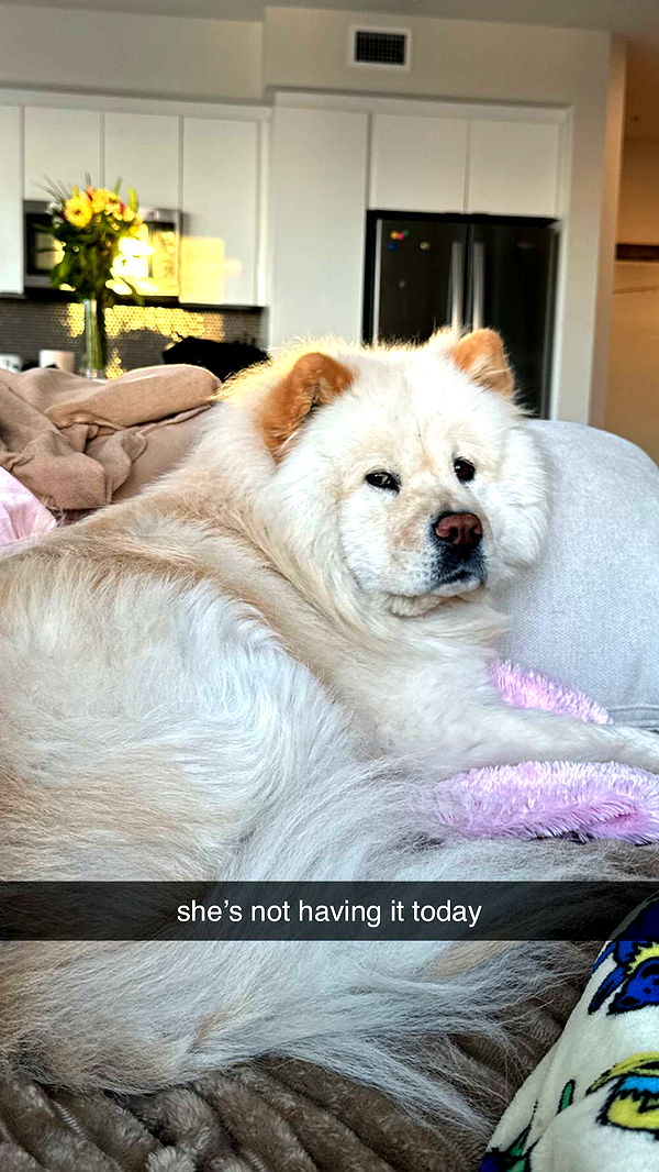 chloerosenbaum image ~ Altpins