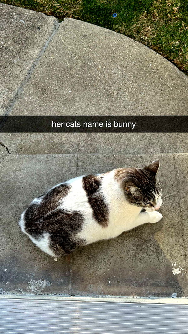 chloerosenbaum image ~ Altpins