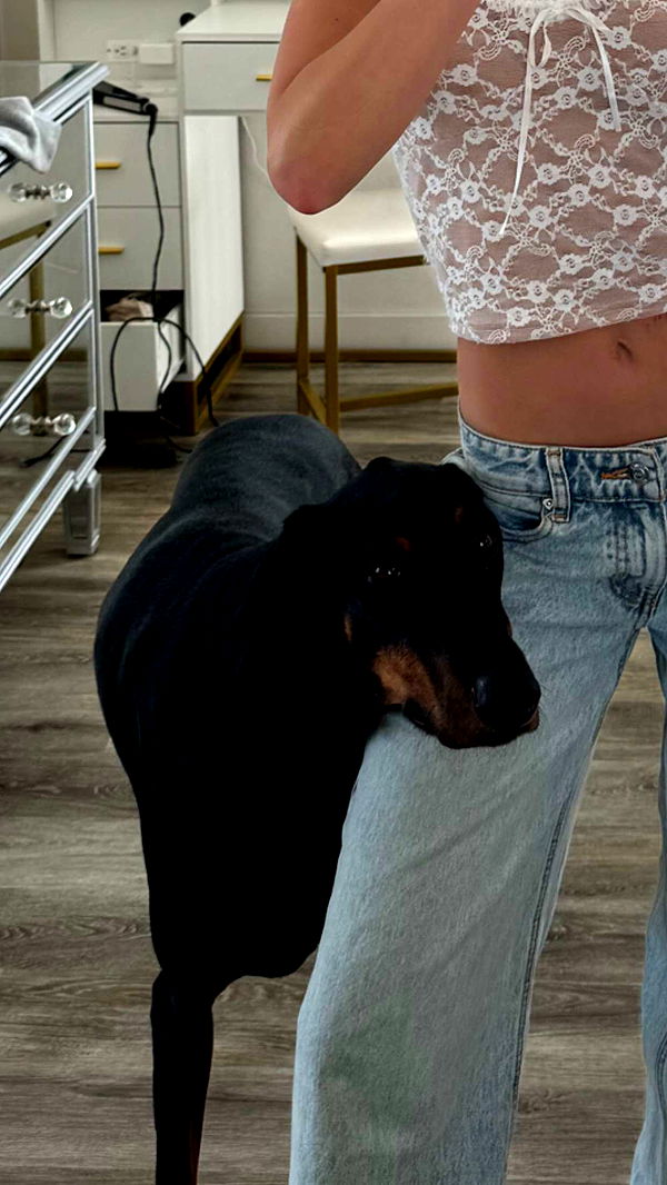 chloerosenbaum image ~ Altpins