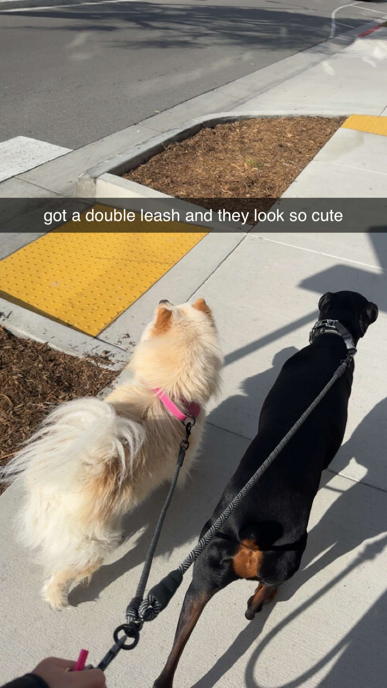 chloerosenbaum snapchat image archive image