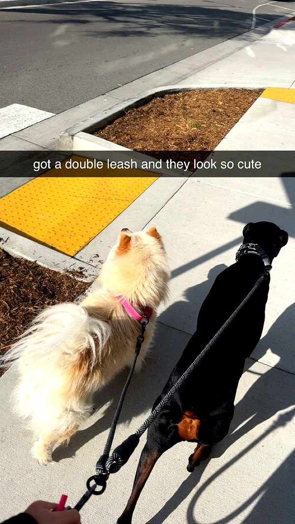 chloerosenbaum image ~ Altpins