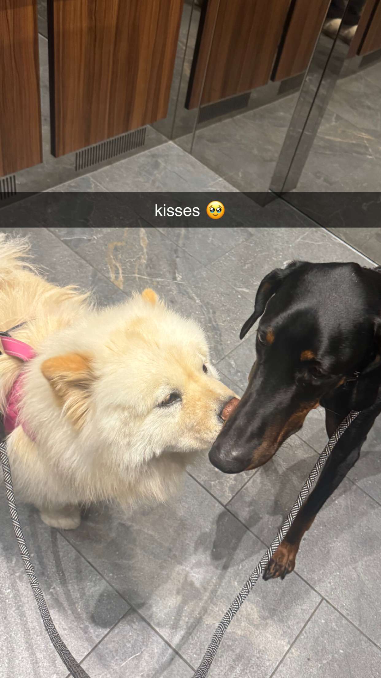 chloerosenbaum snapchat image archive image