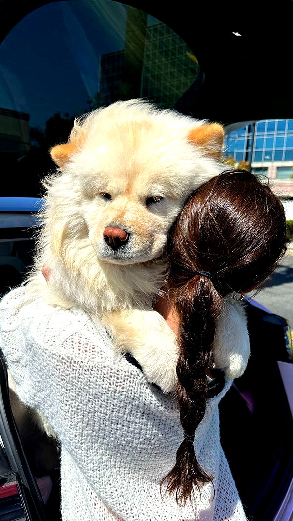 chloerosenbaum image ~ Altpins