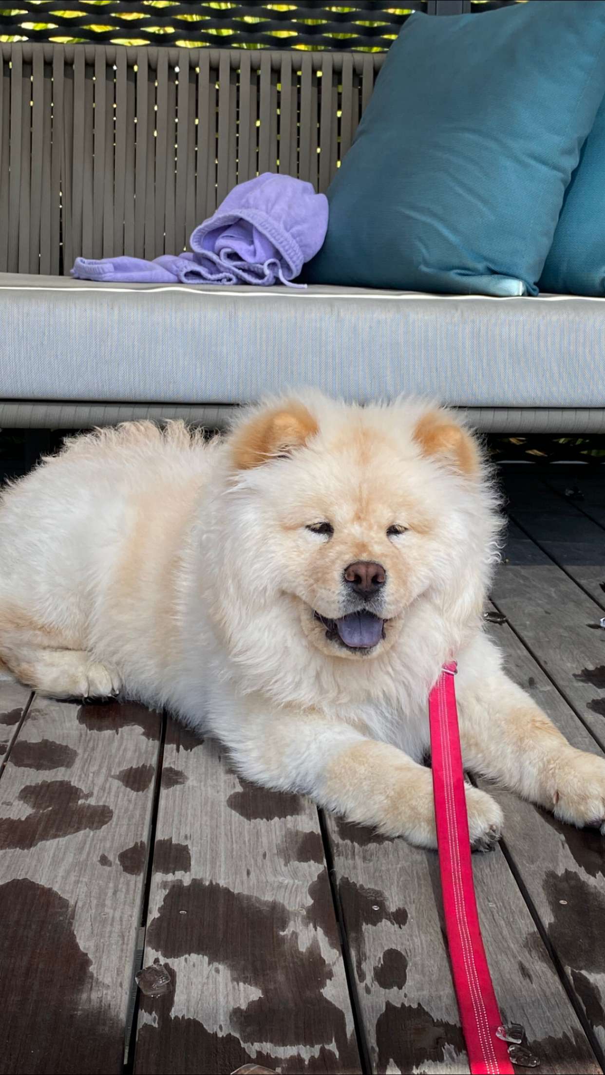 chloerosenbaum snapchat image archive image