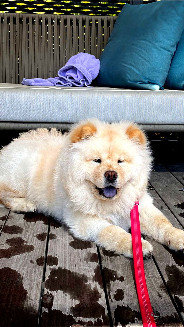 chloerosenbaum image ~ Altpins