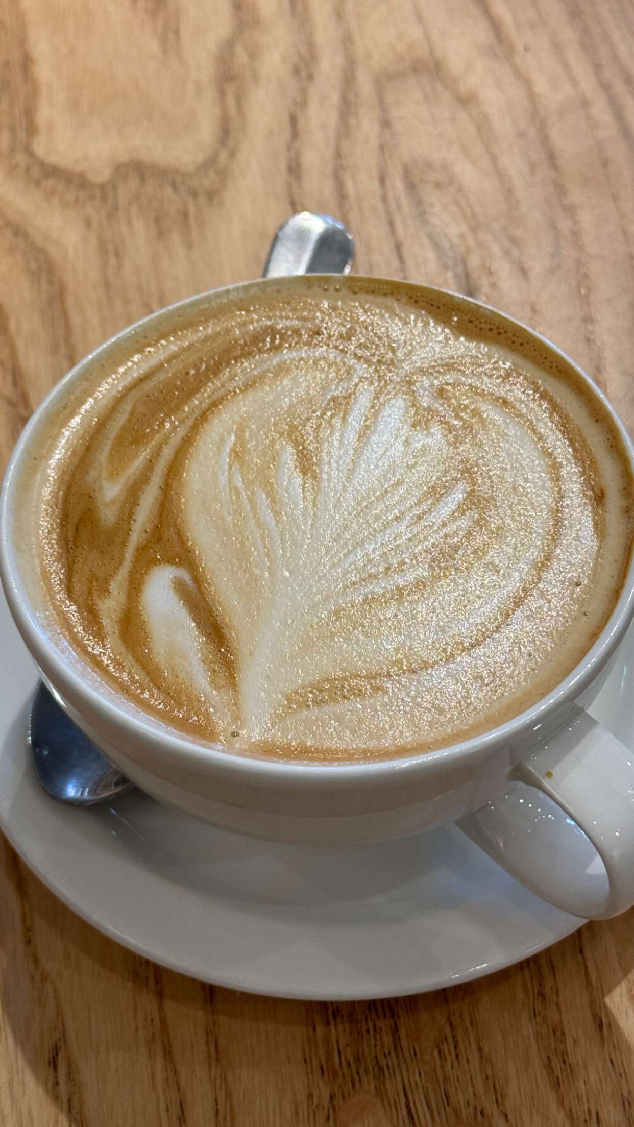 chloerosenbaum snapchat image archive image