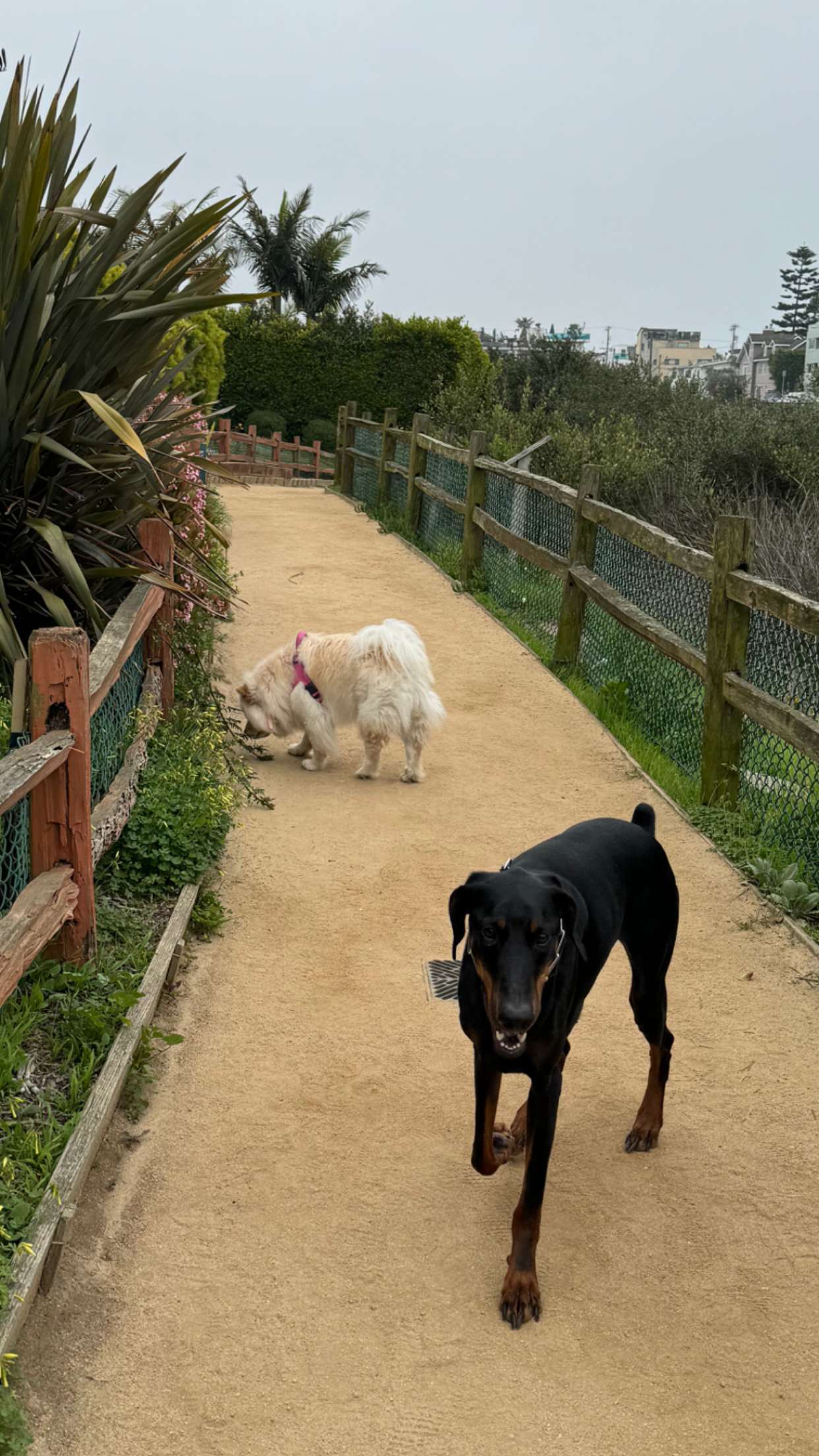 chloerosenbaum snapchat image archive image