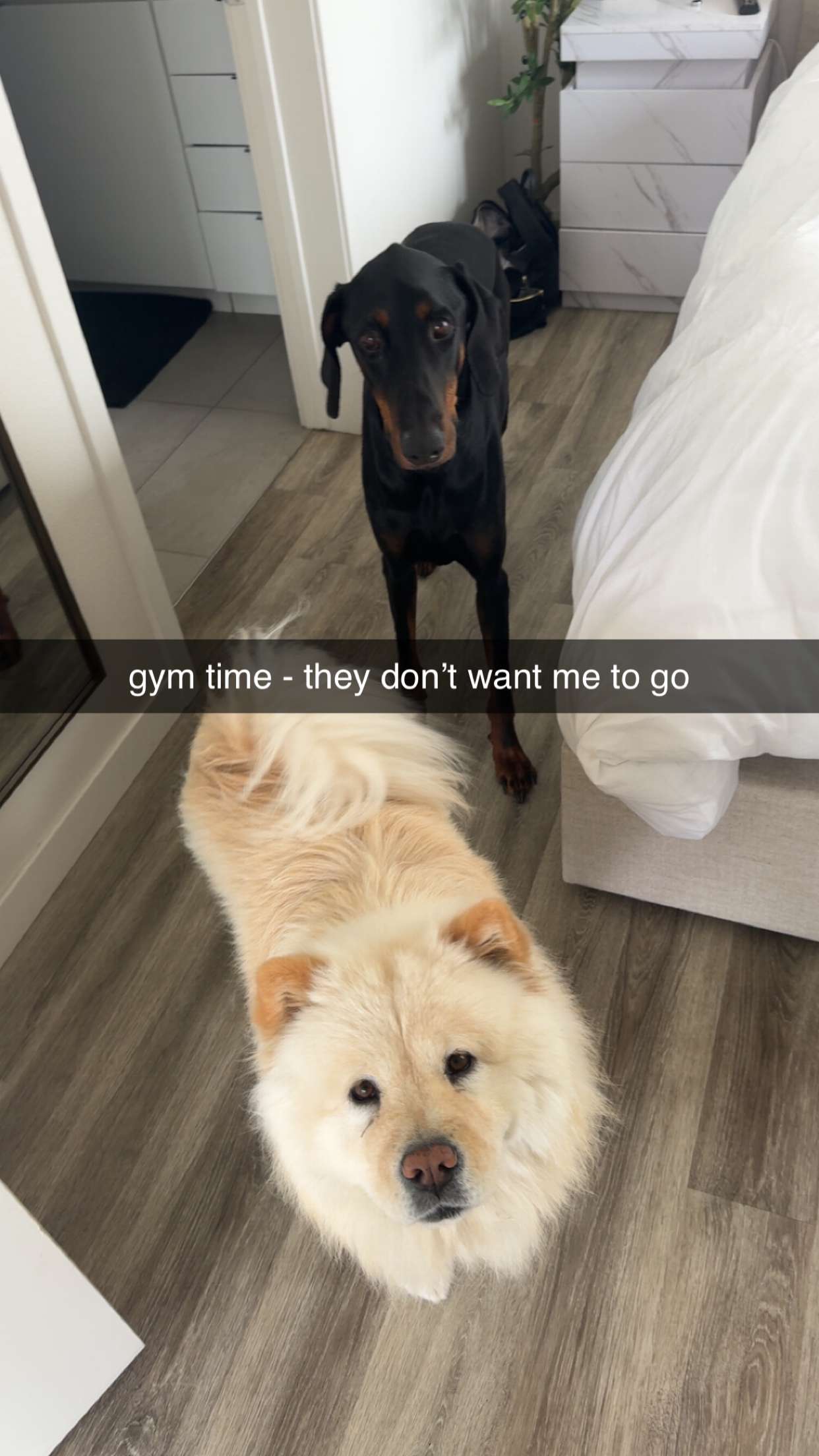 chloerosenbaum snapchat image archive image