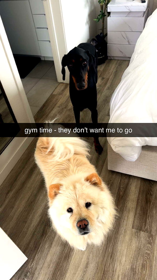 chloerosenbaum image ~ Altpins